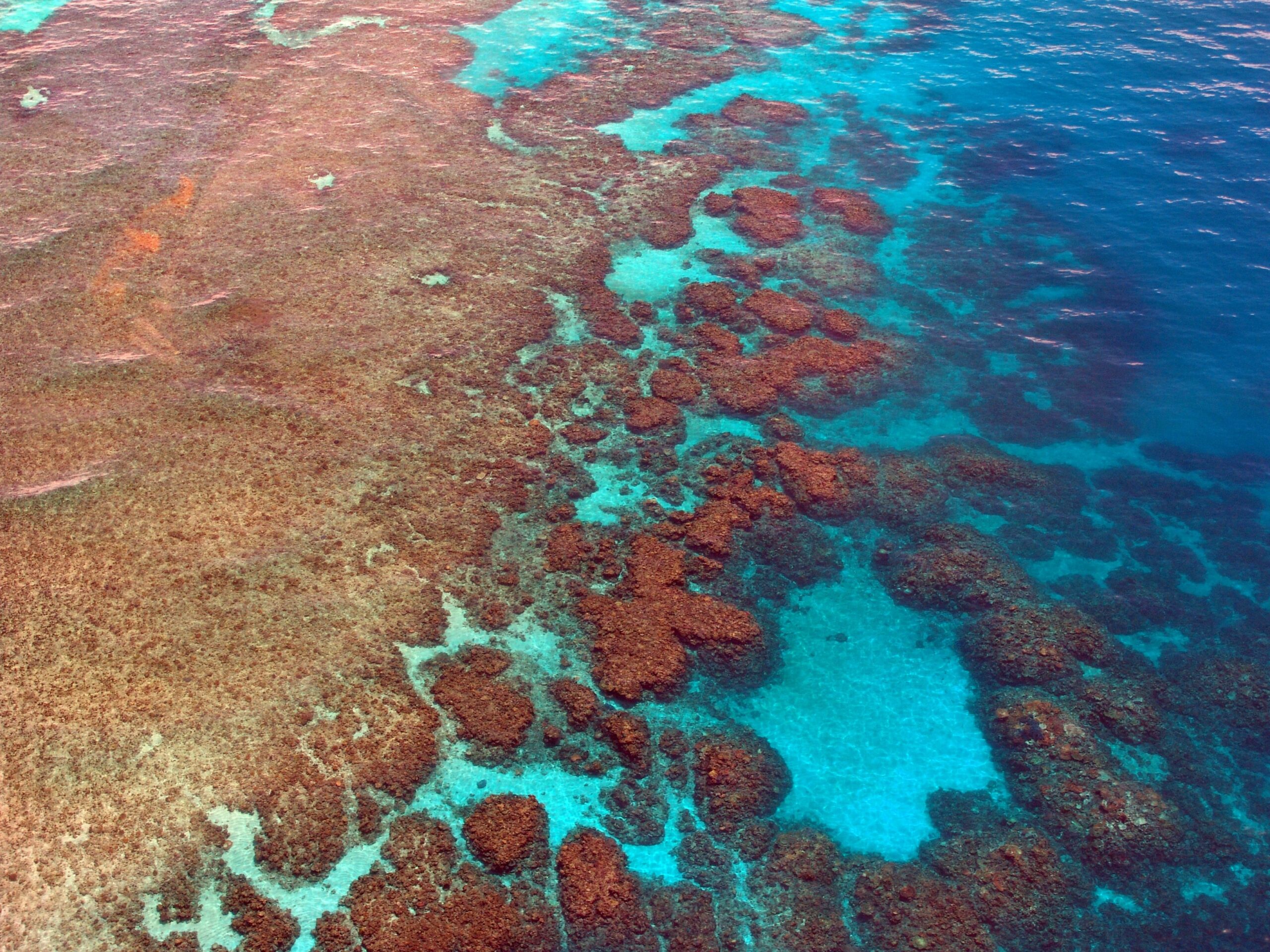 Great Barrier Reef in Queensland
